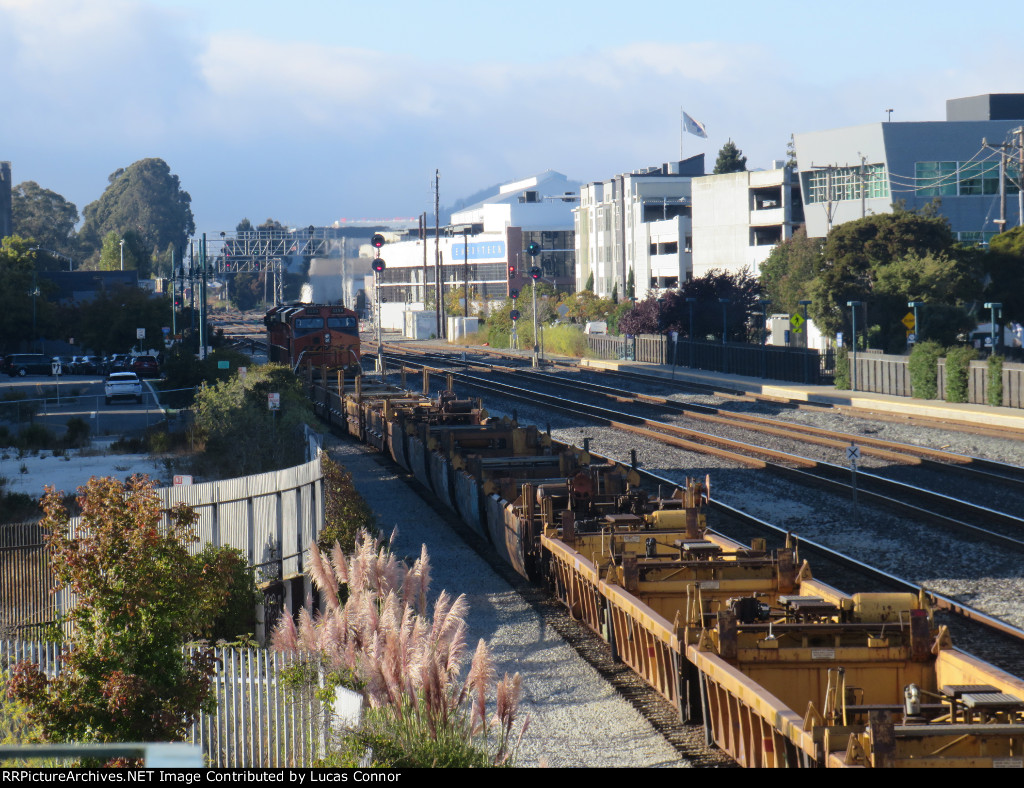 BNSF Baretable Train